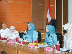 Perempuan Tapin Bangkit Lewat Kerajinan, UMKM Bazar Siap Unjuk Gigi