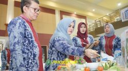 Jambore Kader Posyandu Tapin Diharapkan Jadi Momentum Percepatan Penanganan Stunting