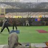 183 Pesilat Ikuti PSHT Cup XIII
