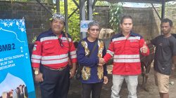 IMG20250604110506