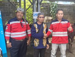 PT BMB Group Bagikan Puluhan Ekor Sapi Kurban